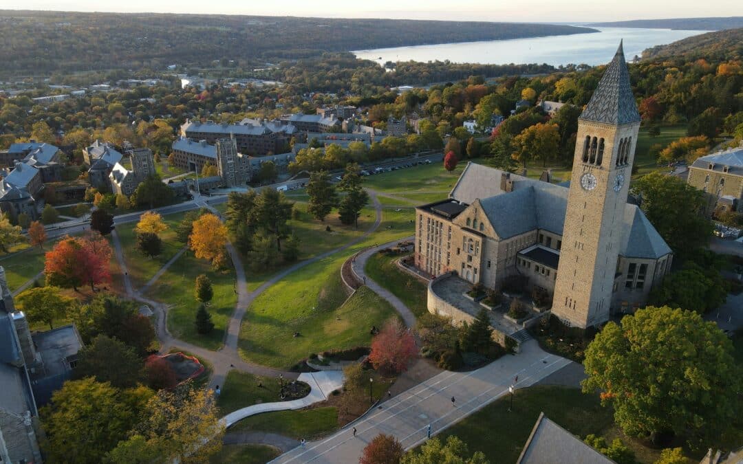 MBA reapplicants