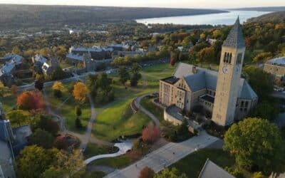 What MBA Reapplicants Need to Know – Part 2