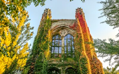 Do Business Schools Care About Demonstrated Interest?